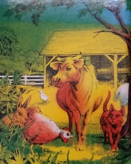 My Farm adventure personalized storybooks